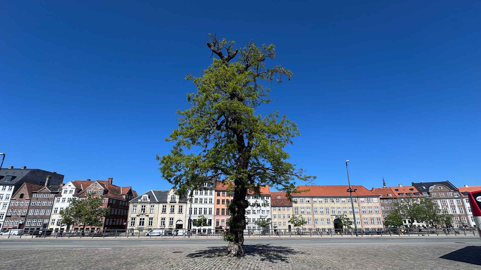 Copenhagen panoramic